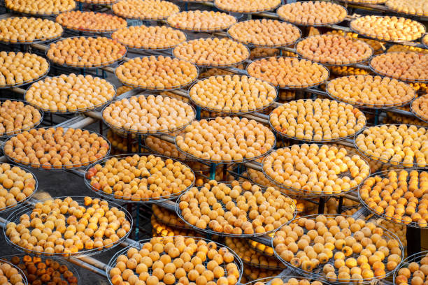 Making process of sun exposuring dried persimmon in a sieve in autumn.