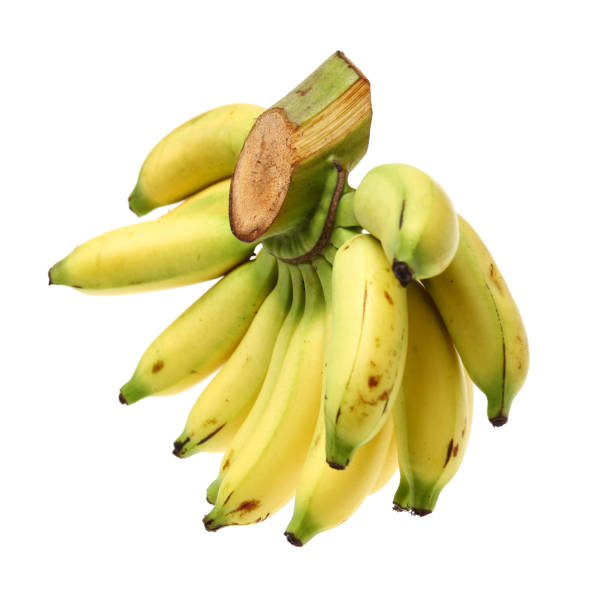 Bunch of baby banana