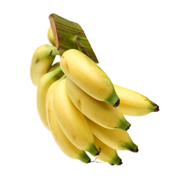 istock Bunch of baby banana 1282478295