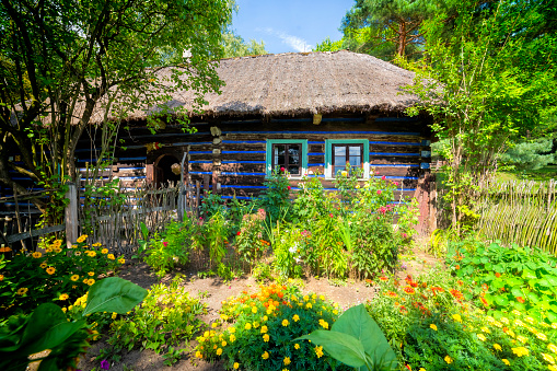 Wygielzow, Poland - August 11, 2019:A traditional 19th-century small thatched cottage with a garden in the village of Wygielzow, Malopolskie province
