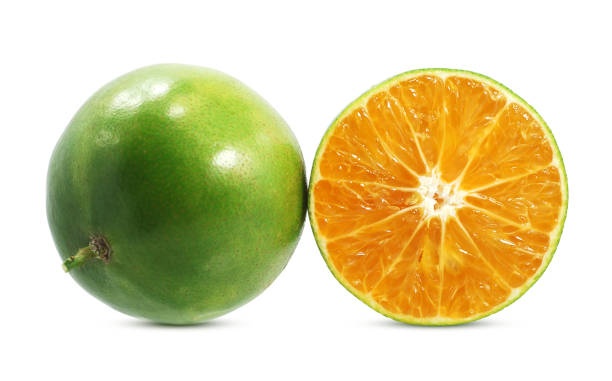 frutas de calamansi o naranja verde aisladas sobre fondo blanco - kumquat fotografías e imágenes de stock