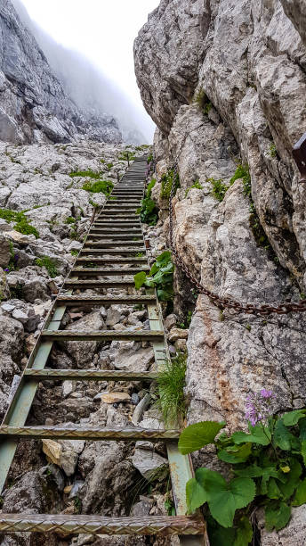 istock Hochschwab - A ladder leading up a steep mountain slope 1282480206