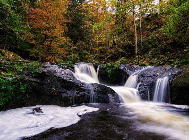 istock Little waterfall in the bavarian forest 1282480355