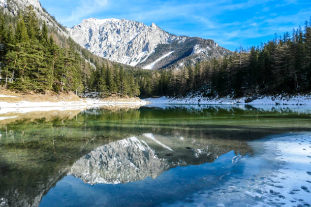 istock Green Lake - Soft reflection on a calm lake's water in winter 1282481065