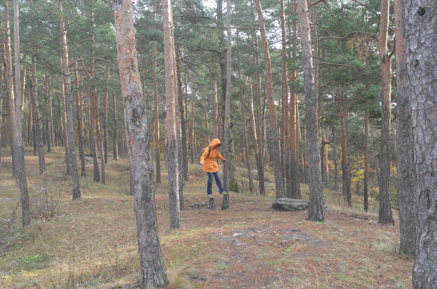 istock Mature woman is walking on cold and sunny autumn forest 1282481371