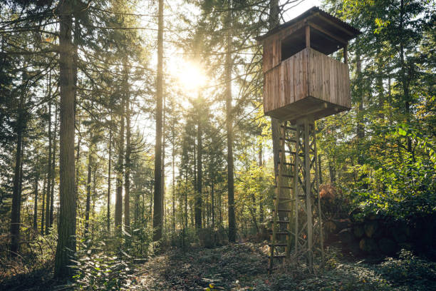 istock hunting stand near a forest 1282484574