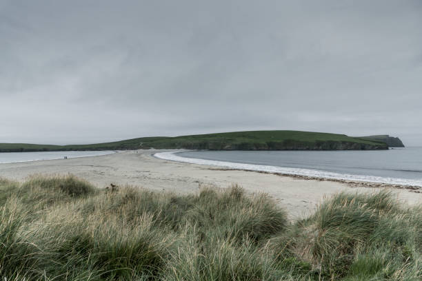 세인트 니니안 섬 무덤 - shetland islands north sea beach sea 뉴스 사진 이미지