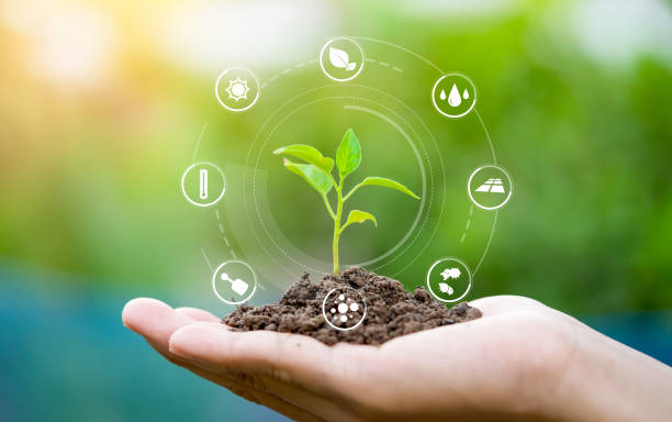 istock Hands holding seedlings, Modern agriculture with technology concept 1282487121