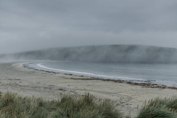 물과 해변에 안개 - shetland islands north sea beach sea 뉴스 사진 이미지