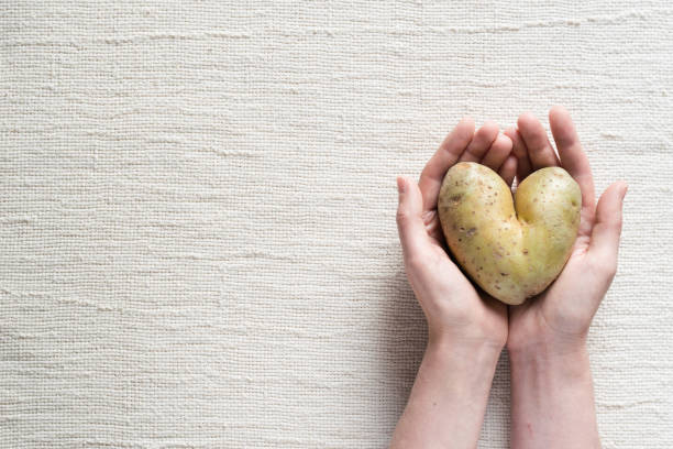 istock Heart-shaped potato in female hands on rustic textile background. Top view, copyspace 1282488377