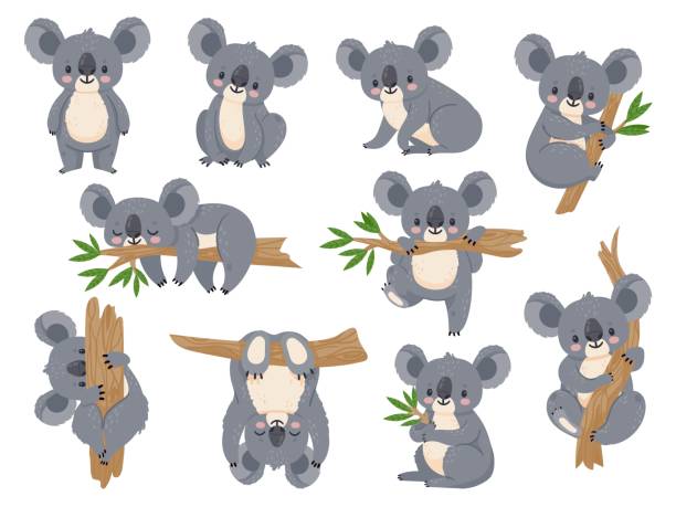 귀여운 만화 코알라. 유칼립투스와 게으른 코알라. 작은 재미 열대 우림 동물. 열대 나무 벡터 세트에서 자고있는 호주 곰 - koala stock illustrations