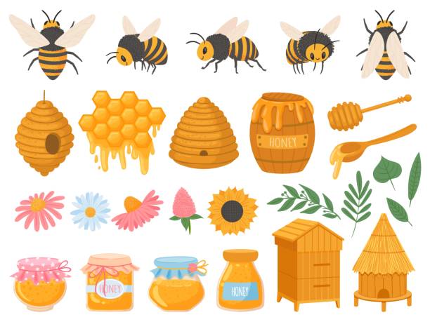 ilustraciones, imágenes clip art, dibujos animados e iconos de stock de apicultura. productos de apicultura de varias mieles en frascos de vidrio. panal, cera de abejas, colmena, flores y abejas conjunto de vectores de alimentos orgánicos - spoon honey cute jar