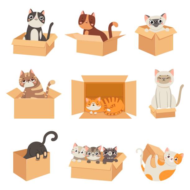 ilustrações de stock, clip art, desenhos animados e ícones de cats in boxes. cute stickers with cat sitting, sleeping and playing in cardboard box. funny hiding kittens. adopt homeless pet, vector set - cat box