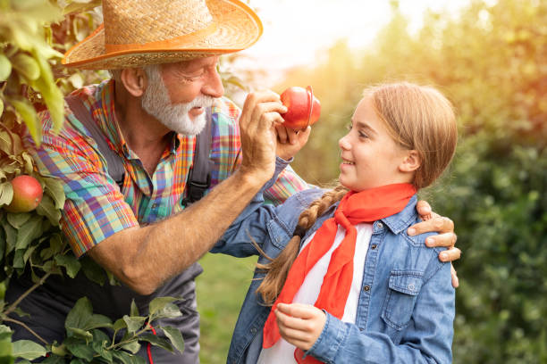 istock Fun in plantation fruit with my grandfather 1282490017