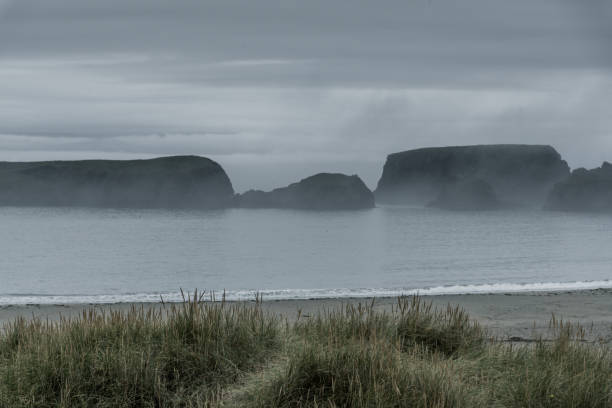 해변에서 안개 아침 - shetland islands north sea beach sea 뉴스 사진 이미지