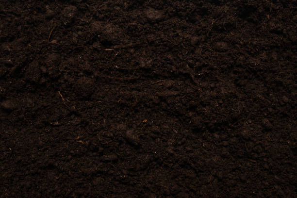istock Black land for plant background. 1282490467