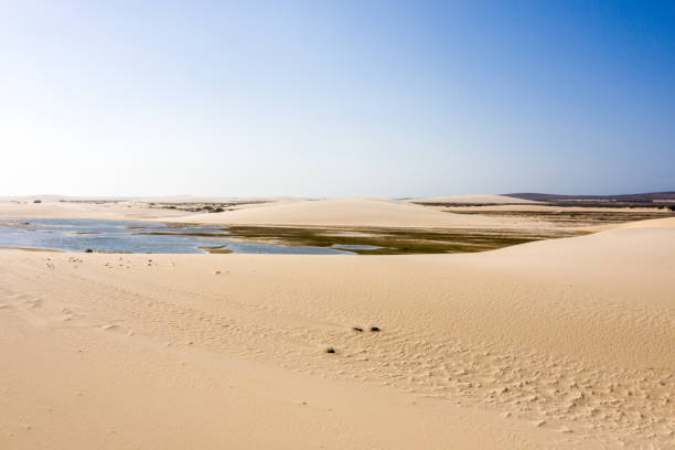 istock High angle view of sand dunes in Jericoacoara, Ceara, Brazil 1282492014