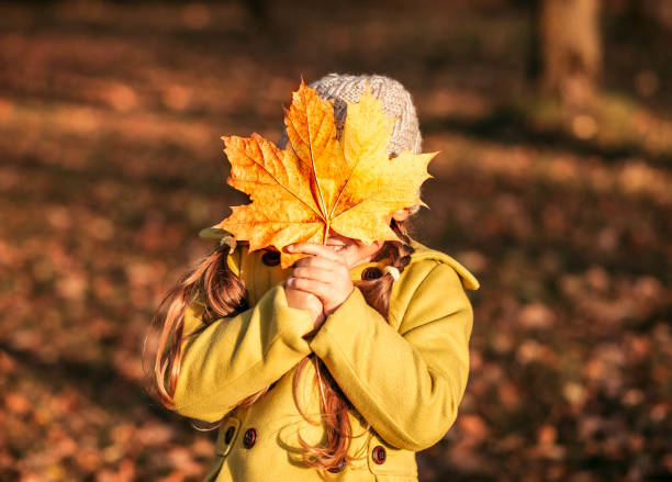 istock little girl covers her face with a large orange maple leaf 1282496171