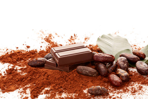 istock Cocoa powder, beans, chocolate and  leaves on white background. 1282499295
