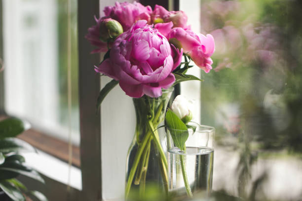 istock Peony Bouquet In A Flower Shop 1282502635
