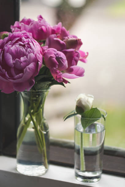 istock Pink Peony Bouquet Next To A Window 1282502729