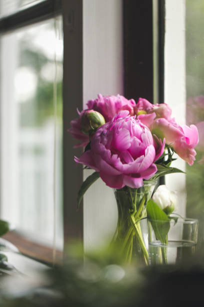 istock Pink Peony Bouquet Next To A Window 1282502759