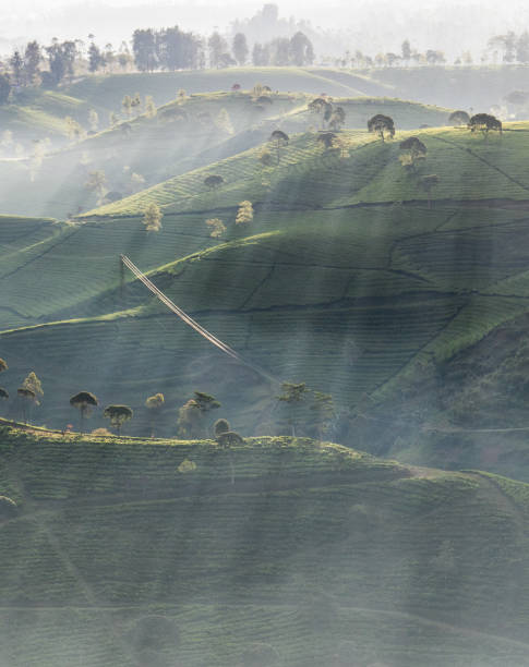 istock Beautiful morning in Cukul 1282504026