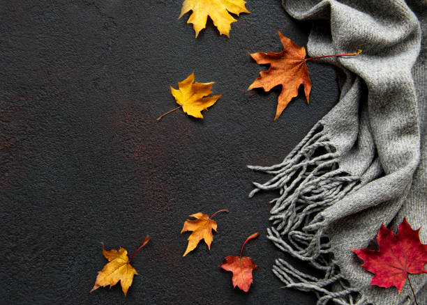 istock Autumn maple leaves and woolen scarf on a black concrete background. 1282504724