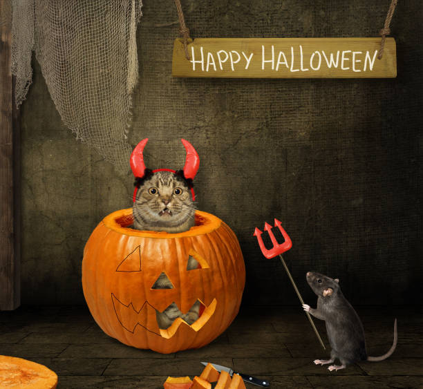 istock Rat with trident near cat in pumpkin 1282507301