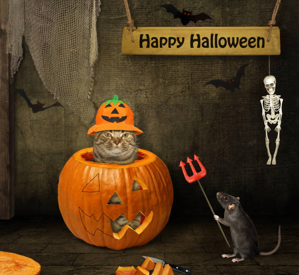 istock Rat with trident near cat in pumpkin 2 1282507302