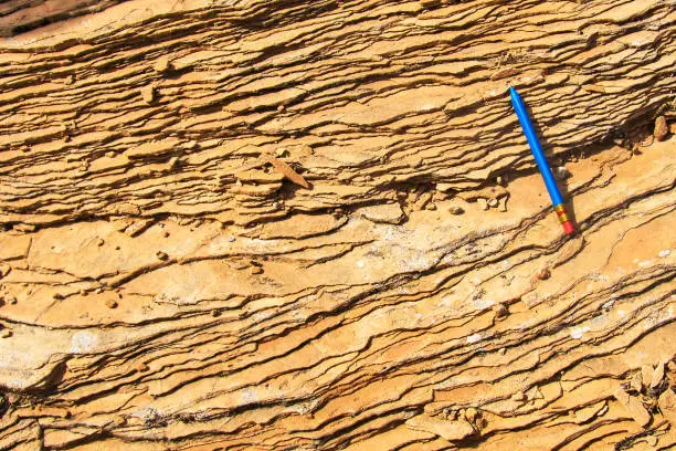 Photo of Aeolian Cross Bedding at the toe of an ancient dune