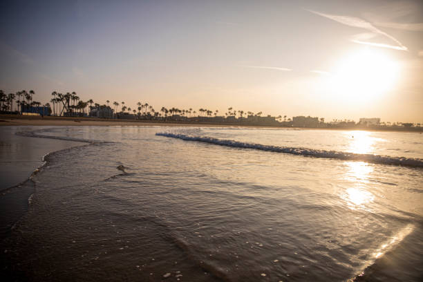 istock Ocean at Santa Monica California 1282509830