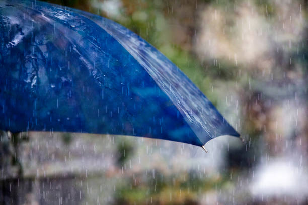 istock close up rain drops on the blue umbrella. 1282510207