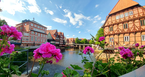 LÜNEBURG - View of the Old Port and the Stintmarkt on the River Illmenau; Historic half-timbered houses in the background; pink flowers in the foreground