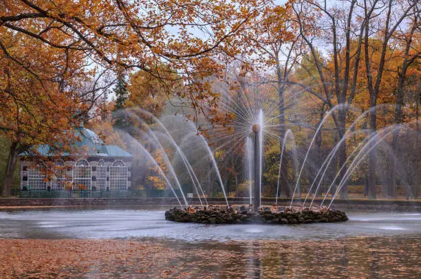 Photo of Golden autumn in Peterhof, Saint-Petersburg, Russia