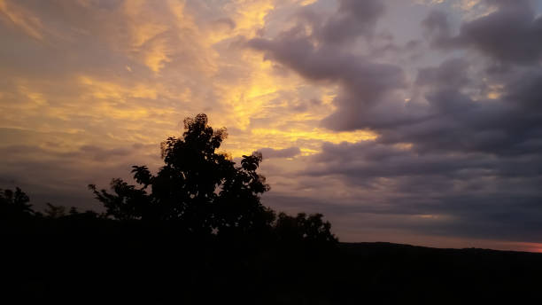 istock view of sunset with orange sky over dark plants 1282515072