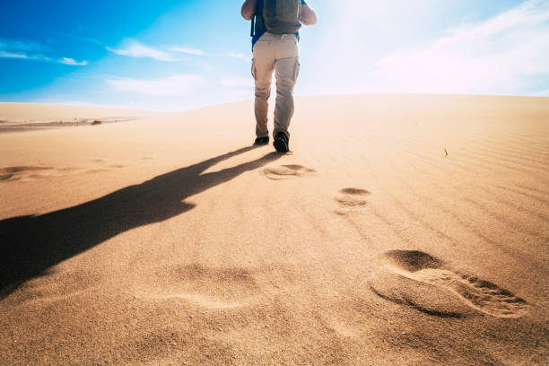 istock Adventure and explore in a changed planet earth for climate warming concept - man viewed from back walking on a desert dunes with blue sky in background 1282521418