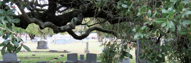 istock Cemetery,Tombstones under Live Oak Tree 1282522871