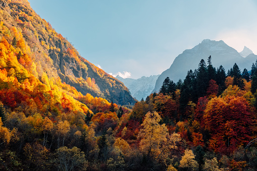 Rocky mountains and autumnal forest with colorful trees. High mountain landscape and amazing light