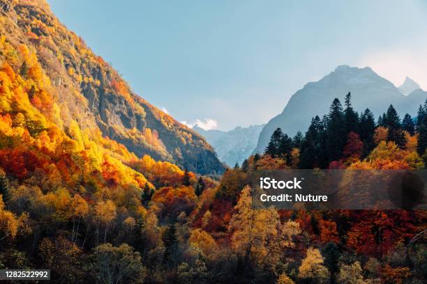 Rocky Mountains And Autumnal Forest With Colorful Trees High Mountain Landscape And Amazing Light Stock Photo - Download Image Now