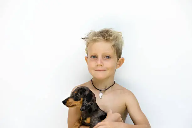 Photo of Funny portrait of little child embracing dachshund puppy