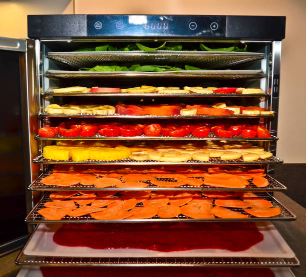 istock a plate dryer, a drying kiln filled with several different fruits and vegetables, ready to start 1282524398