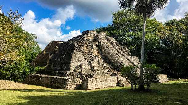 piramide maya a chacchoben a costa maya, messico - chacchoben foto e immagini stock