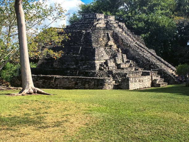 piramide maya a chacchoben a costa maya, messico - chacchoben foto e immagini stock