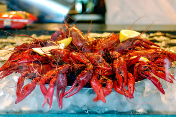 crawfish in the widow of a restaurant in New Orleans crawfish in the widow of a restaurant in New Orleans crab photos stock pictures, royalty-free photos & images
