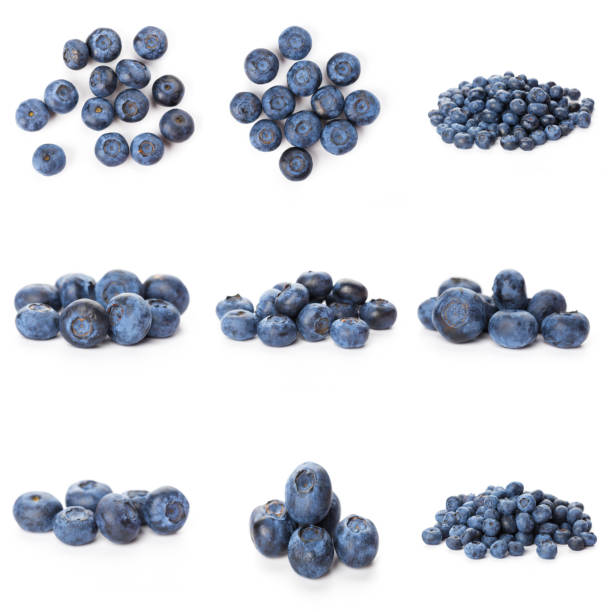 istock Blueberries set isolated on white background. Bilberry. Clipping path. 1282526493