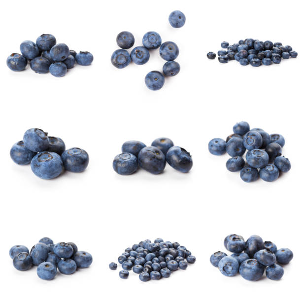 istock Blueberries set isolated on white background. Bilberry. Clipping path. 1282526494