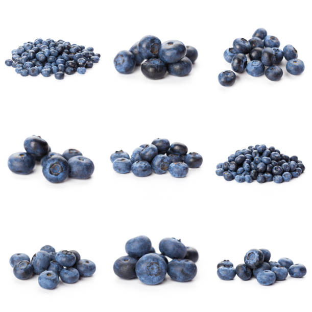 istock Blueberries set isolated on white background. Bilberry. Clipping path. 1282526503