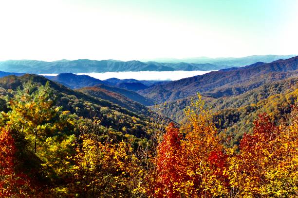 istock Mountains of Gatlinburg 1282527988