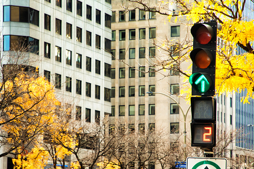 Stop light and office buildings on a sunny Autumn afternoon, Photographed in Montreal. The stop light is showing the green arrow forward.
